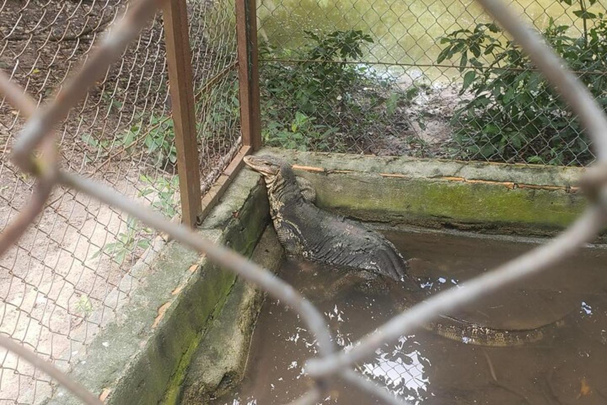 un uccello nell'acqua accanto a una recinzione