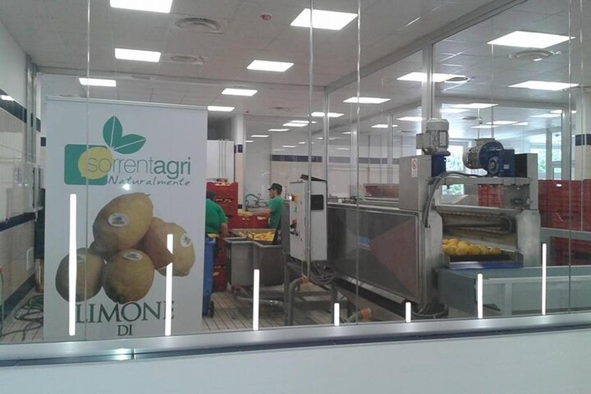 tingkap kaca kedai dengan seseorang di latar belakang