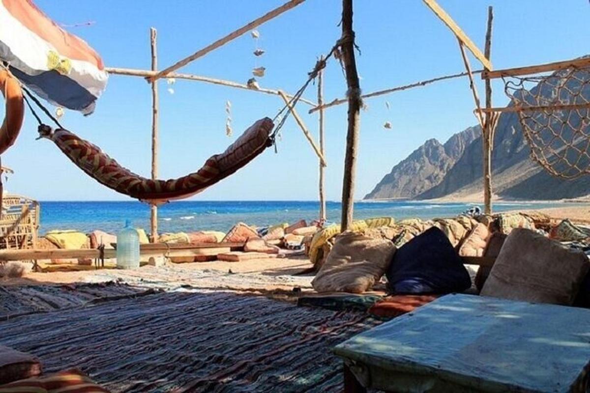 hamak ve okyanusun bulunduğu plaj manzarası