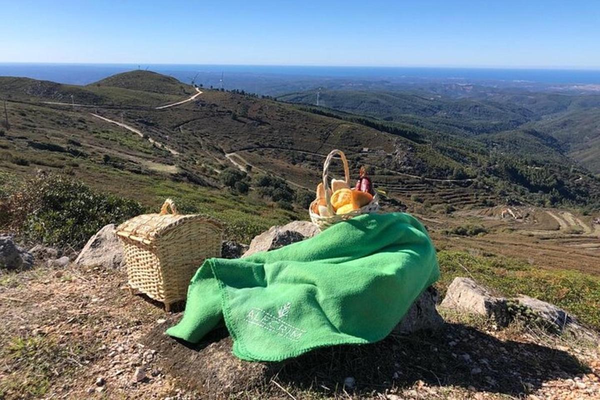 eine Person, die auf einem Berggipfel steht