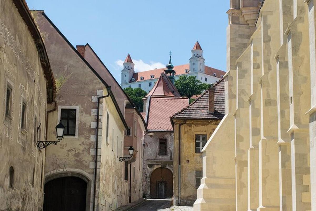an alley with buildings and a castle in the background