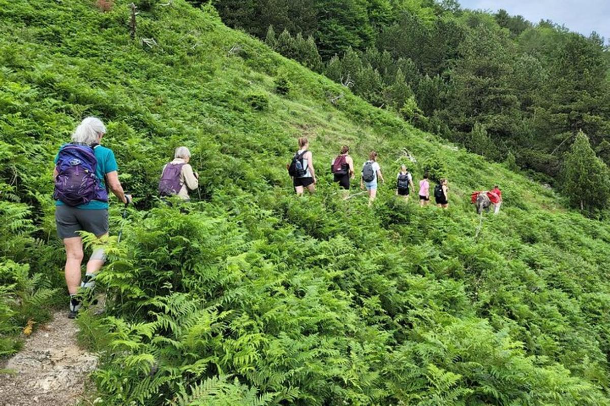 sekelompok orang berjalan menaiki bukit berumput