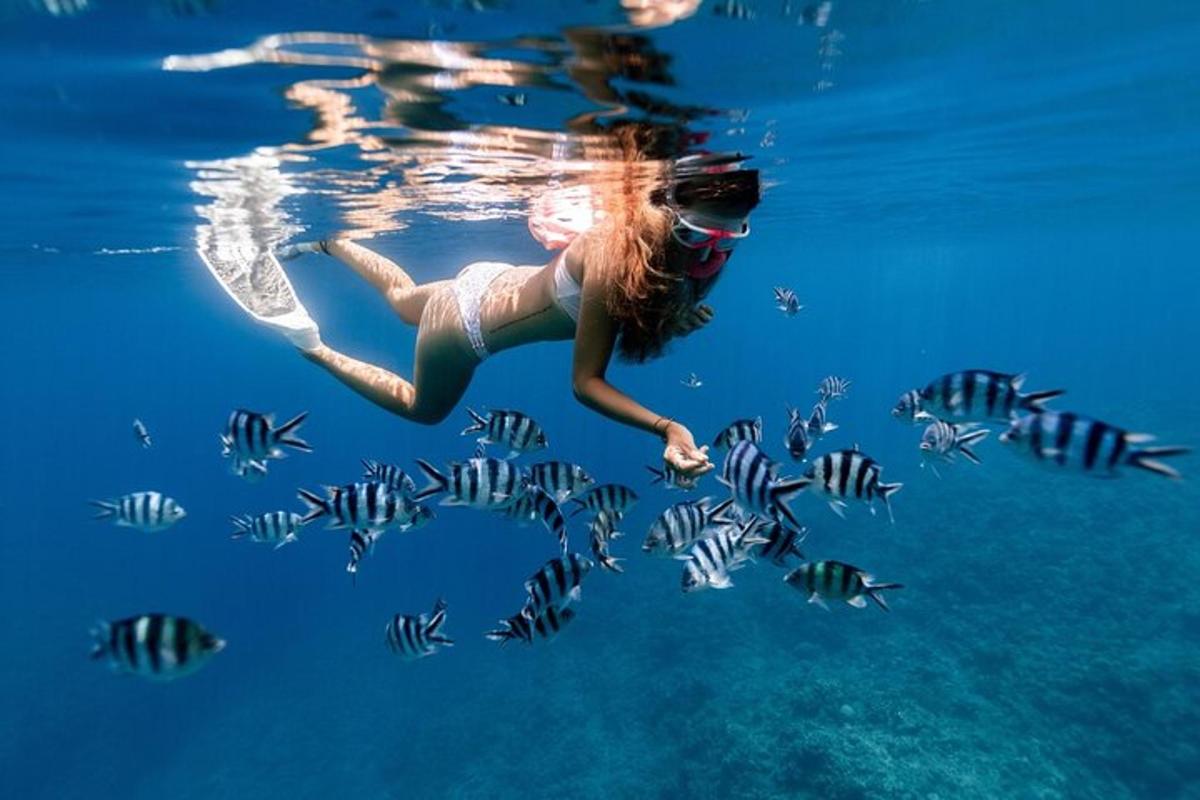 Una mujer está nadando en el agua con peces.
