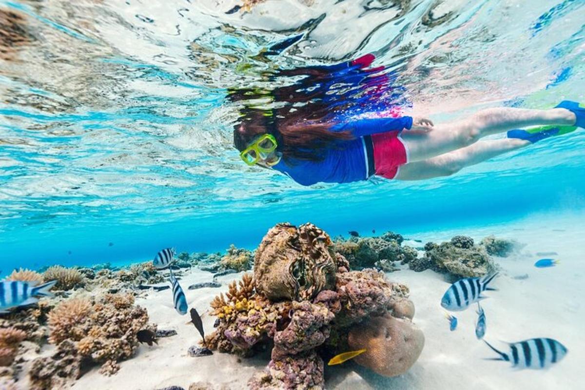 una persona nadando en el agua cerca de un arrecife de coral
