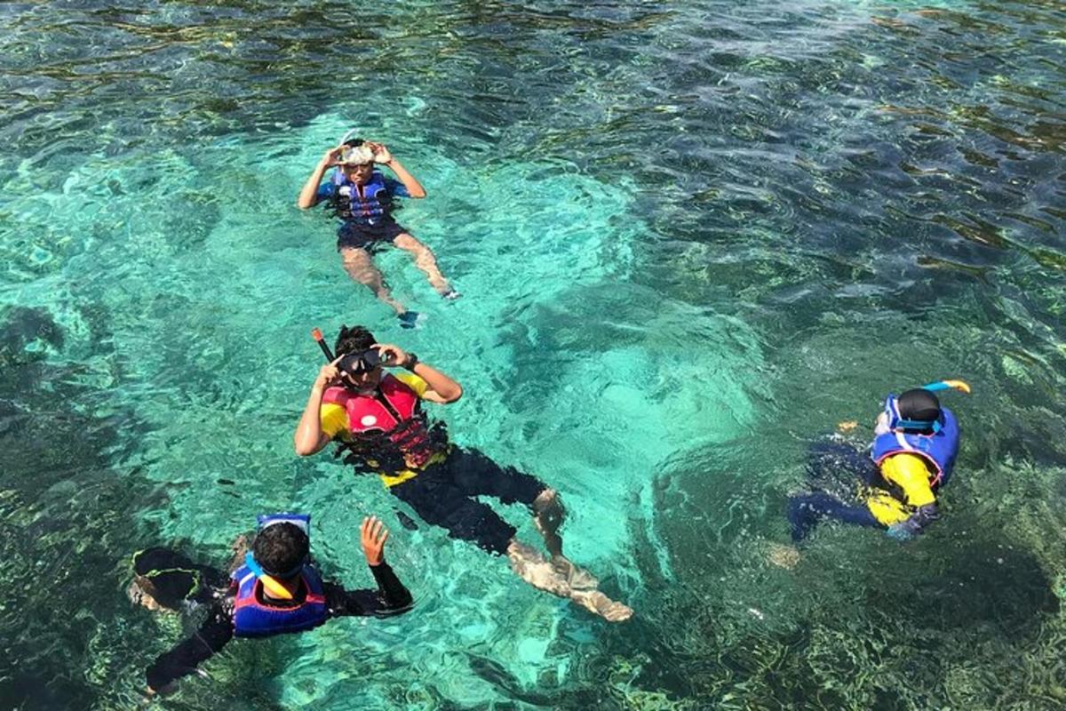 un grupo de personas nadando en el agua