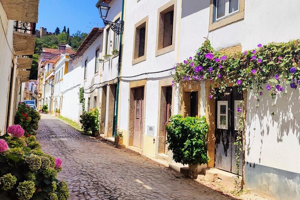una strada vuota con fiori ai lati degli edifici