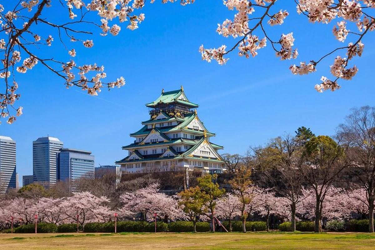 una pagoda con alberi di akura di fronte a una città