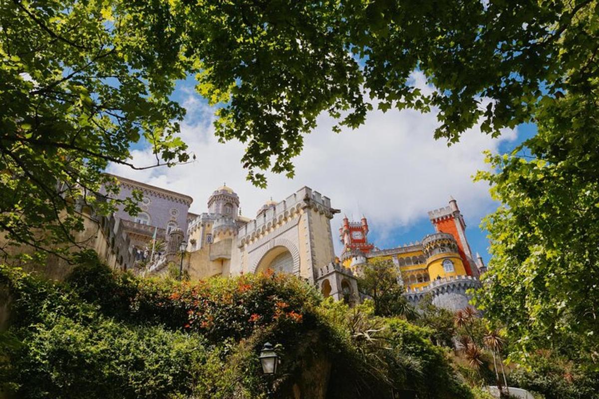 vista d'un edifici amb arbres en primer pla