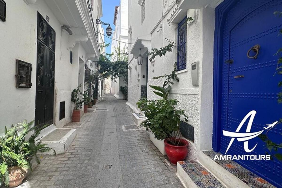 ένα σοκάκι με μια μπλε πόρτα και γλάστρες με φυτά