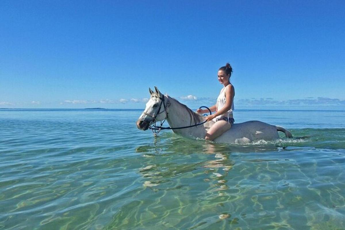 eine Frau, die auf einem Pferd im Wasser reitet