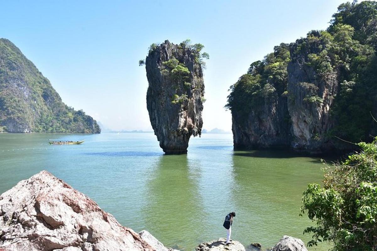 burung berdiri di atas batu di dalam air dengan tebing