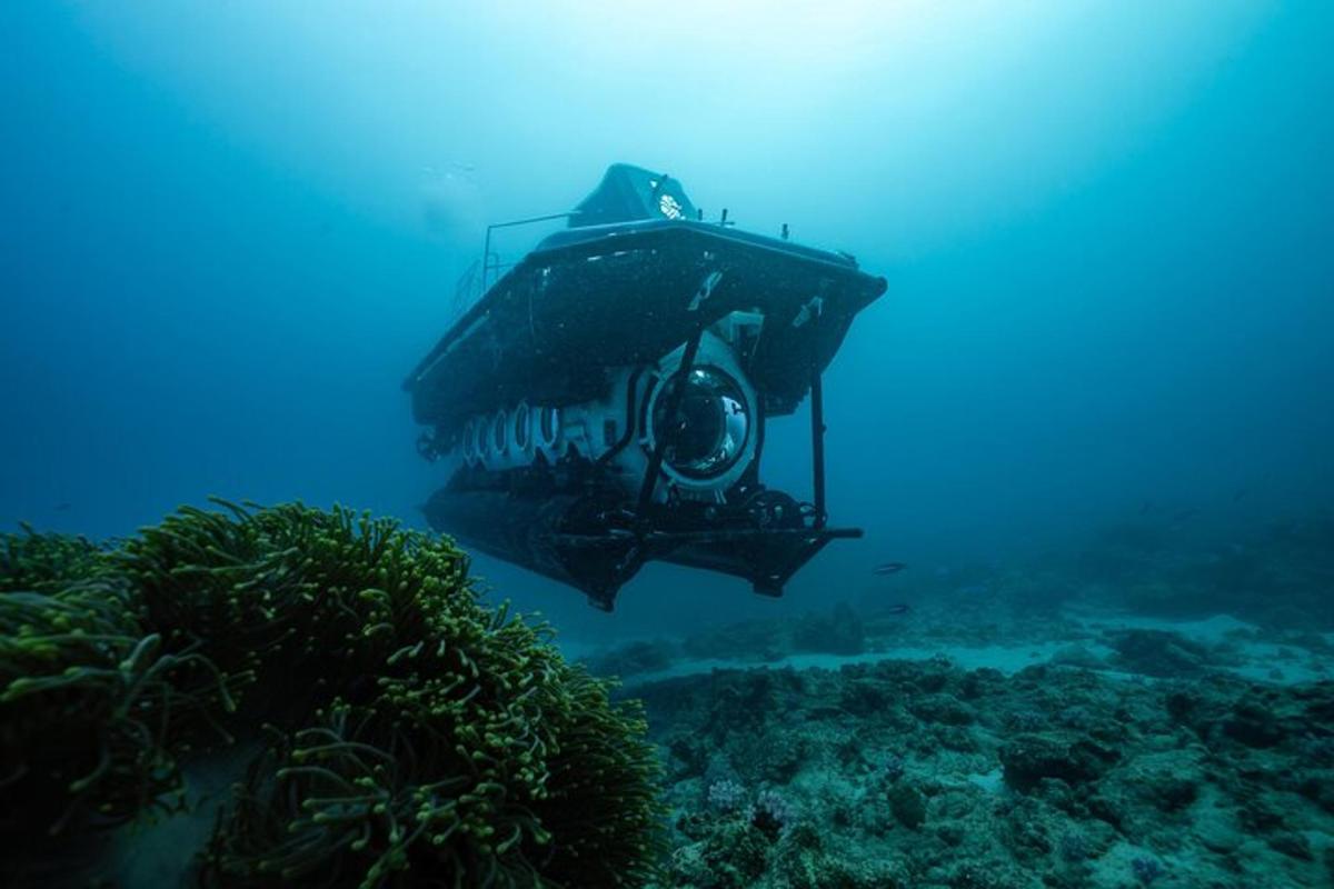 um mergulhador nadando sobre um recife de coral