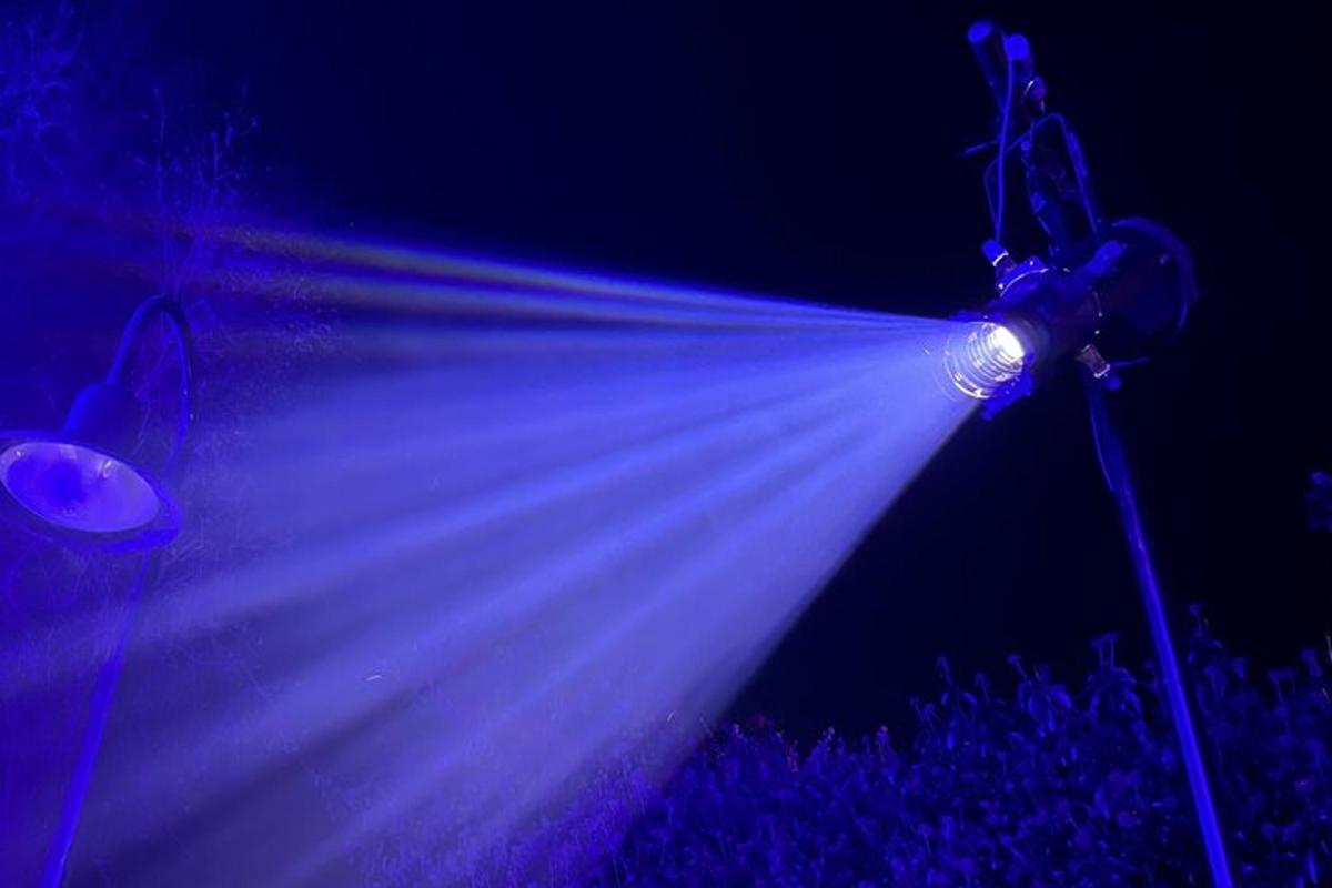 ein Strahl von fluoreszierendem Licht in einem Mikropheropheropheropheropheropheropheropheropheroph