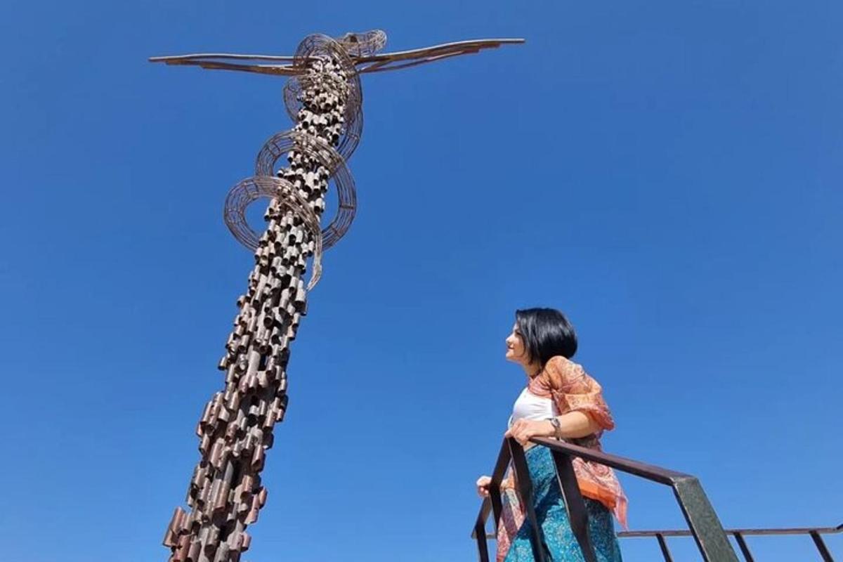 a woman standing on a ladder next to a giraffe