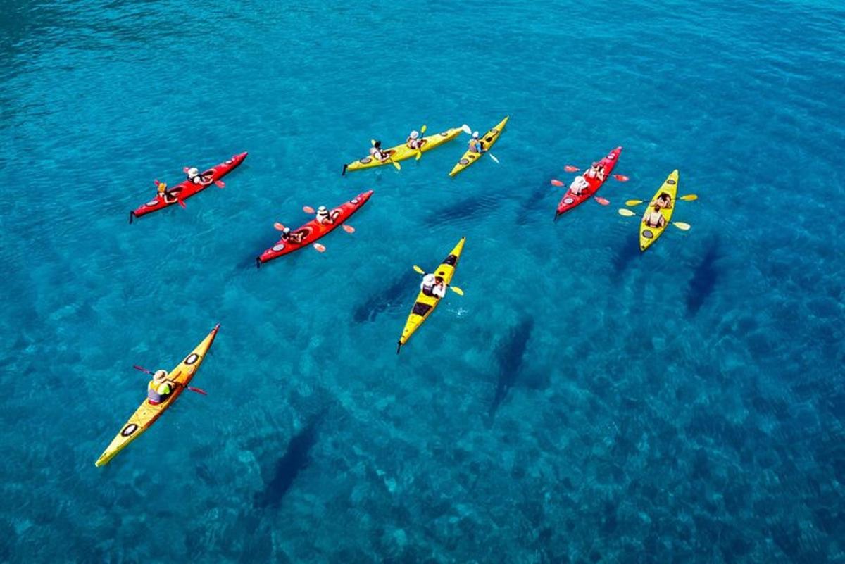 a group of people in kayaks in the water