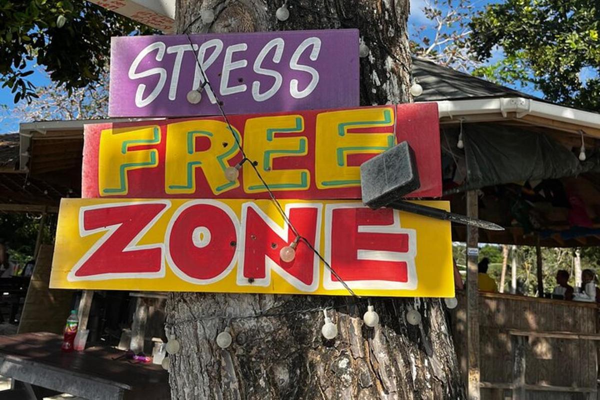 a sign on a tree that reads stress free zone