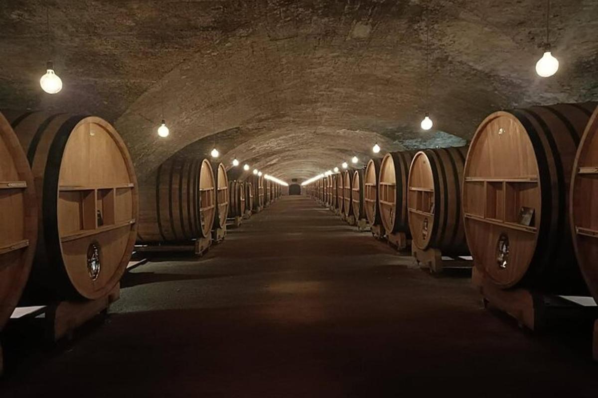 a row of wine barrels in a tunnel