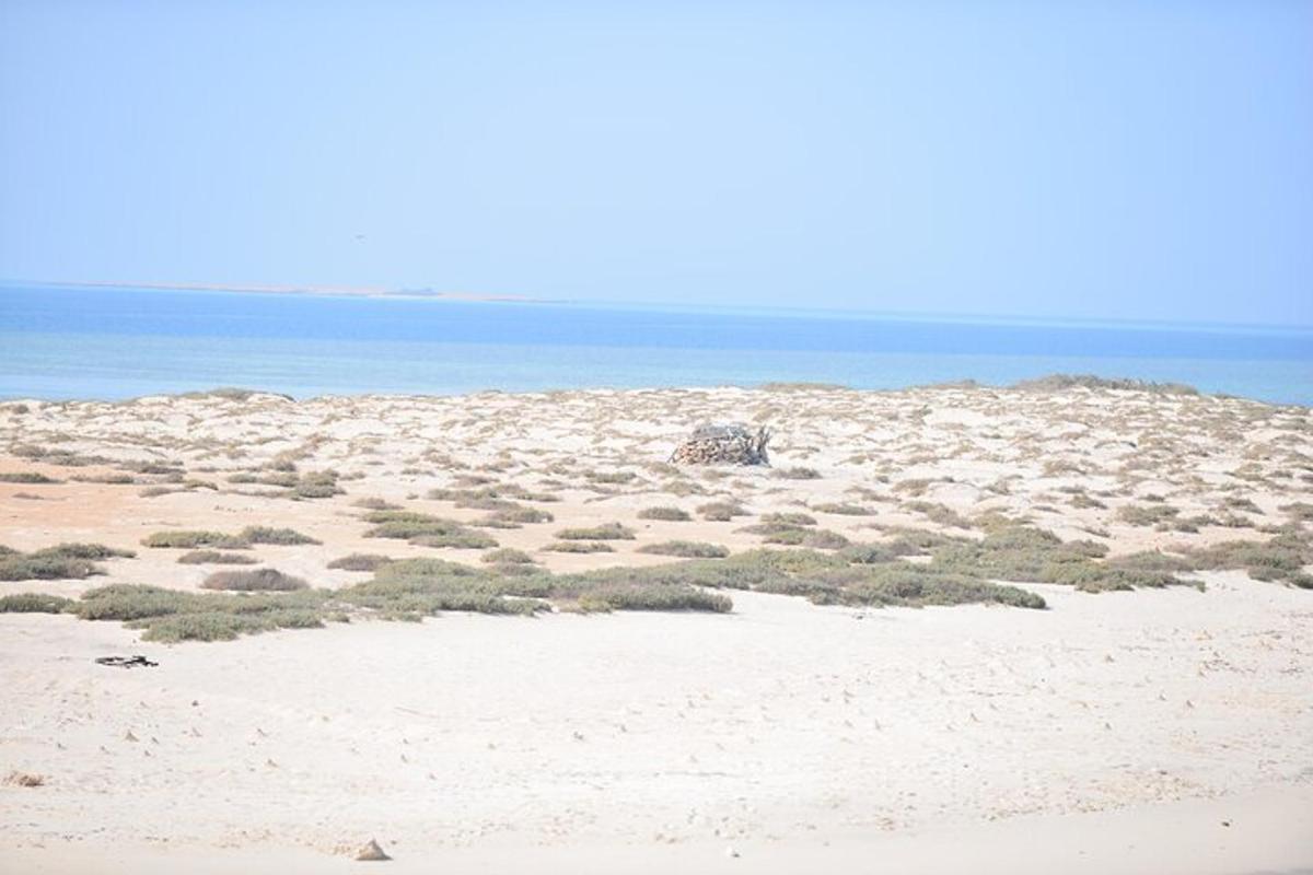 plaża z trawą i piaskiem i oceanem