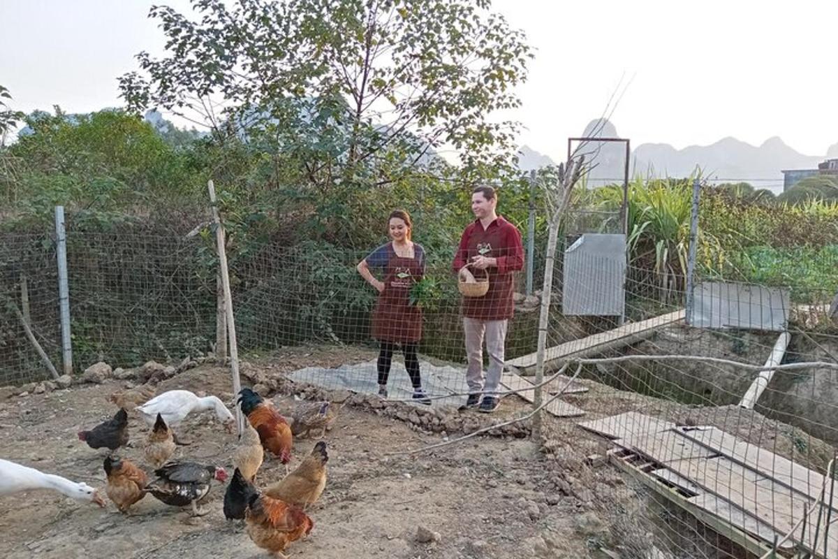 due persone in piedi accanto a un gruppo di polli