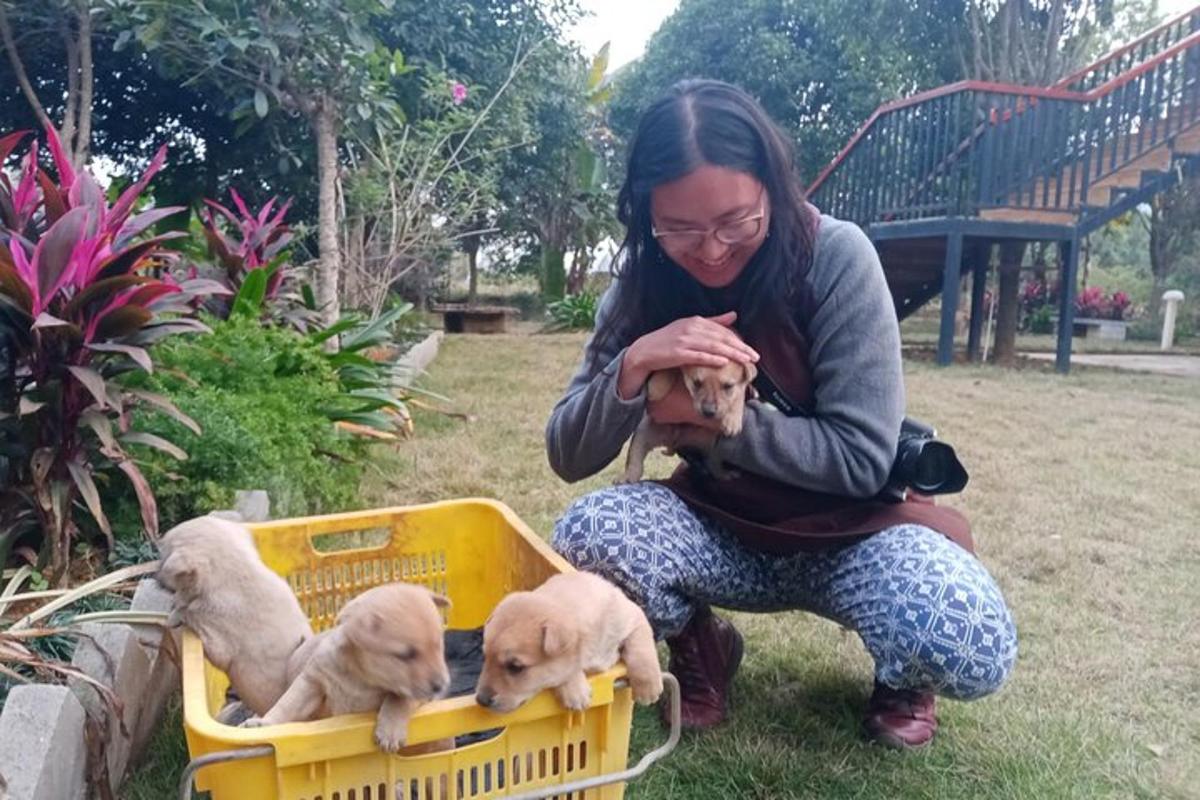 una donna che tiene in braccio due cuccioli in un cestino giallo