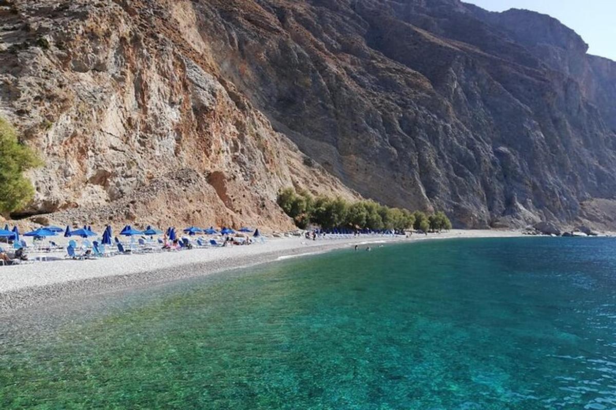 una spiaggia con sedie e persone in acqua