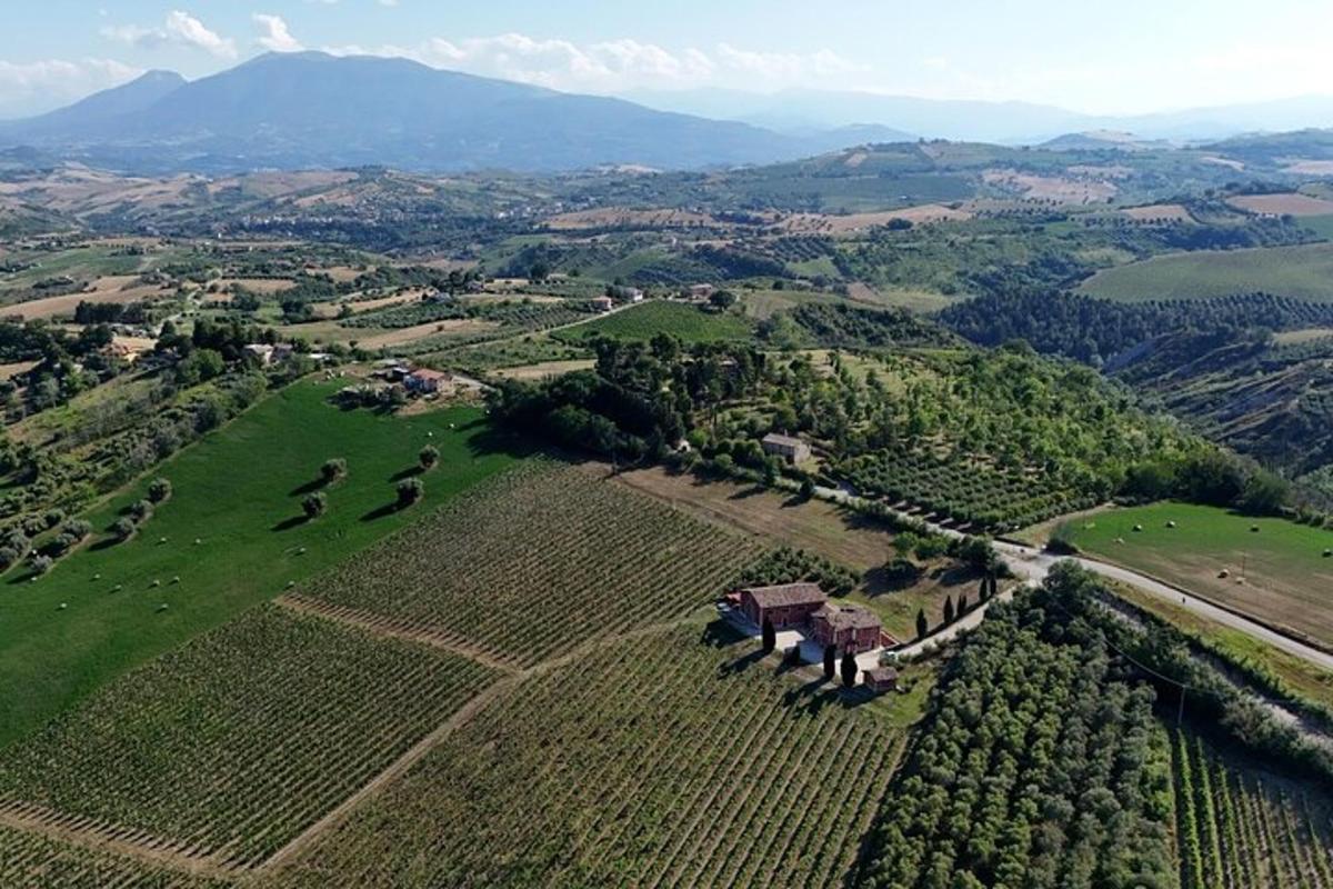an aerial view of a farm in a field