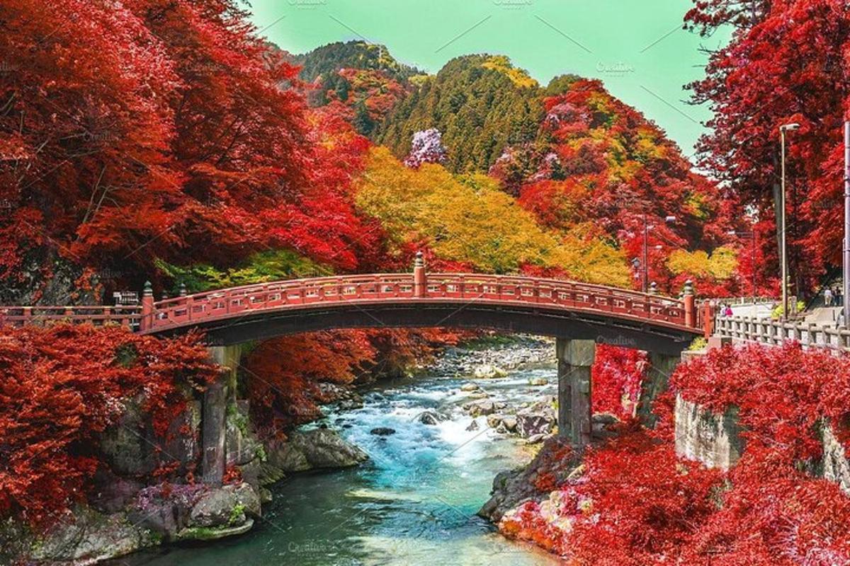 Un puente sobre un río con árboles otoñales.