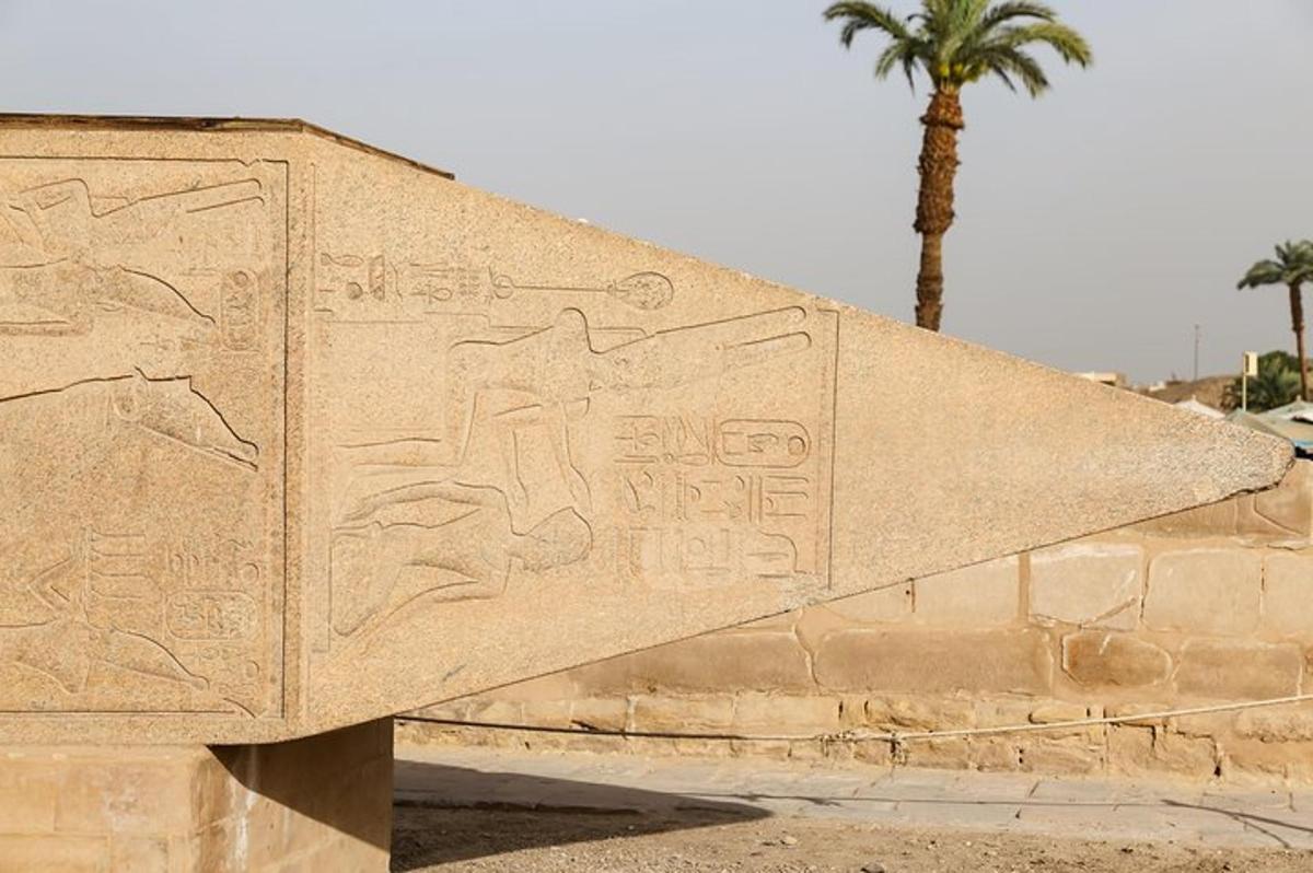un muro di pietra con geroglifici sopra e una palma