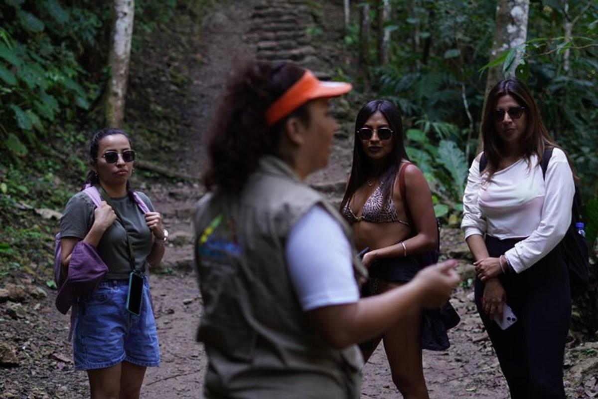 一群人在树林里的小路上行走