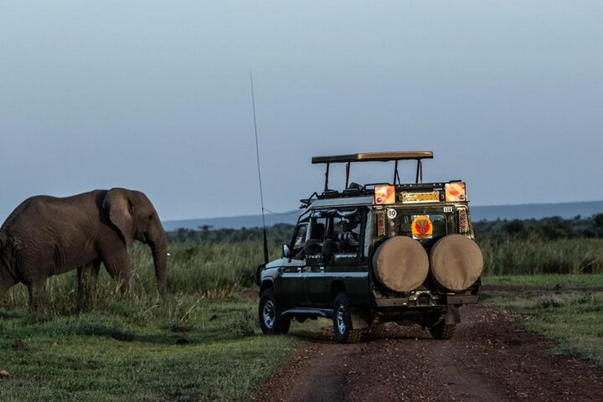 une jeep garée sur un chemin de terre à côté d'un éléphant
