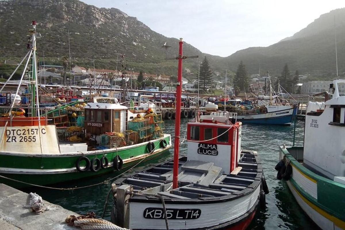 Un grupo de barcos están atracados en un puerto