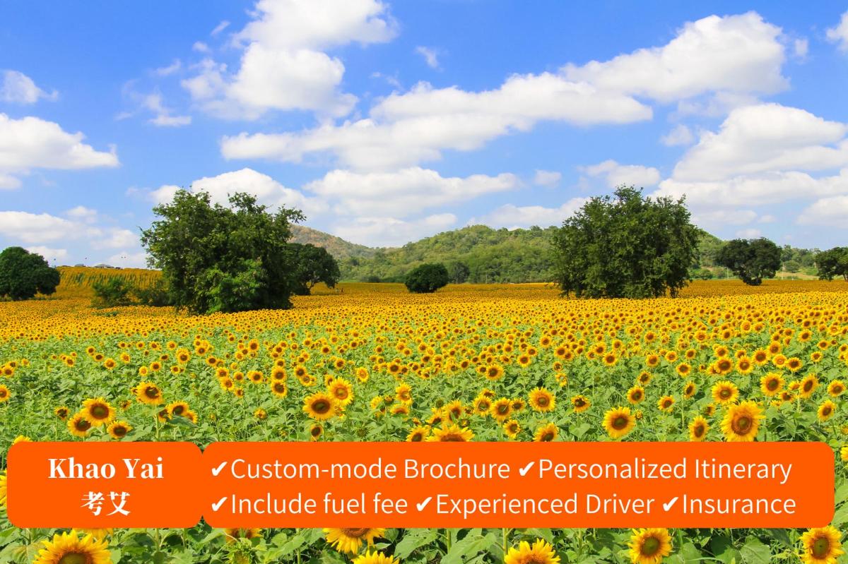 a field of sunflowers under a blue sky
