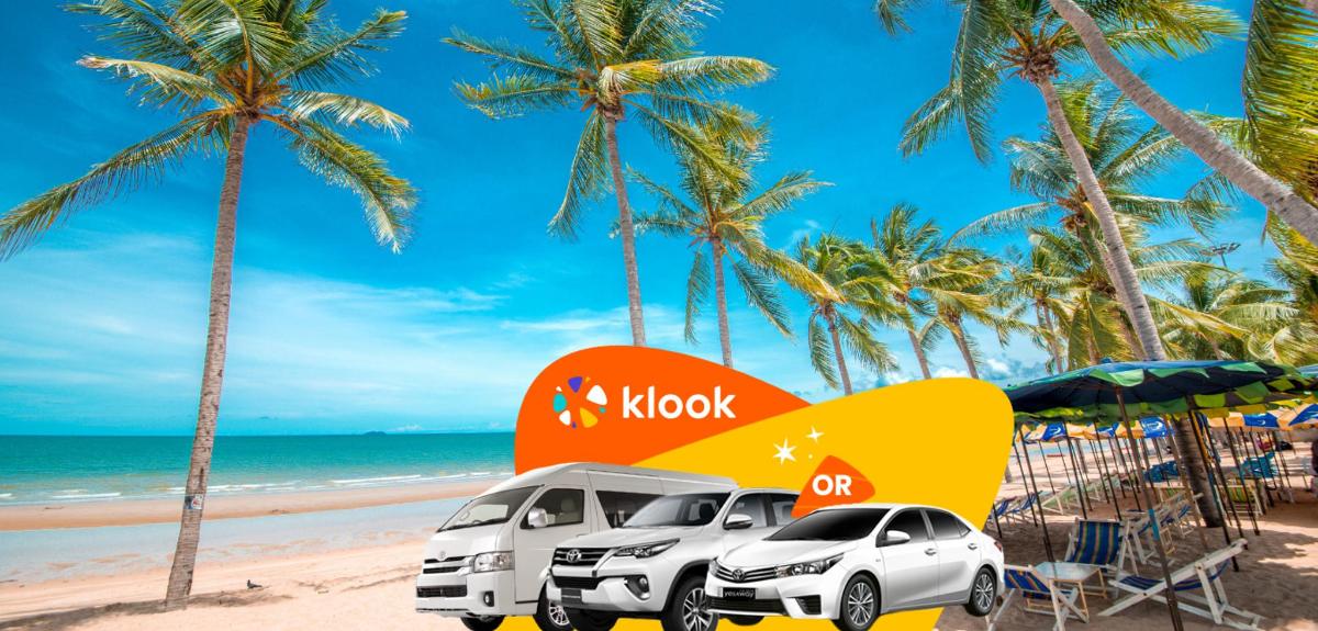 two white cars parked on a beach with palm trees