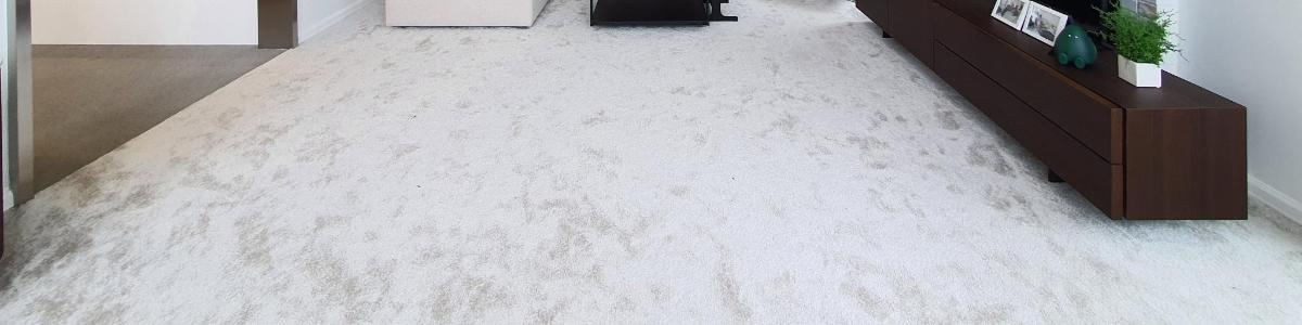 Una sala de estar con suelo alfombrado blanco.