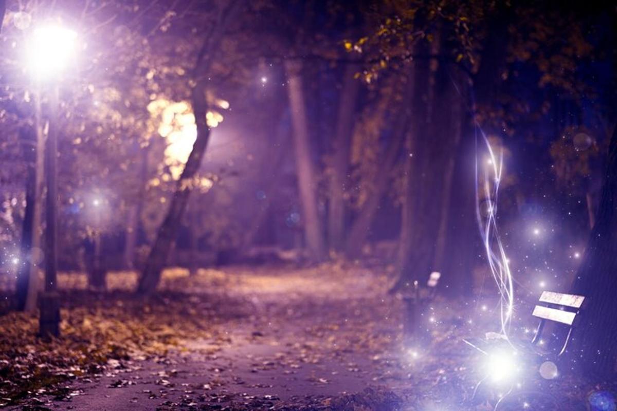 ベンチとライトのある夜の公園
