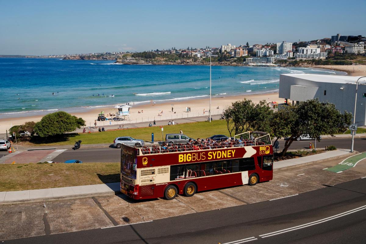 a double decker bus parked on the side of a beach