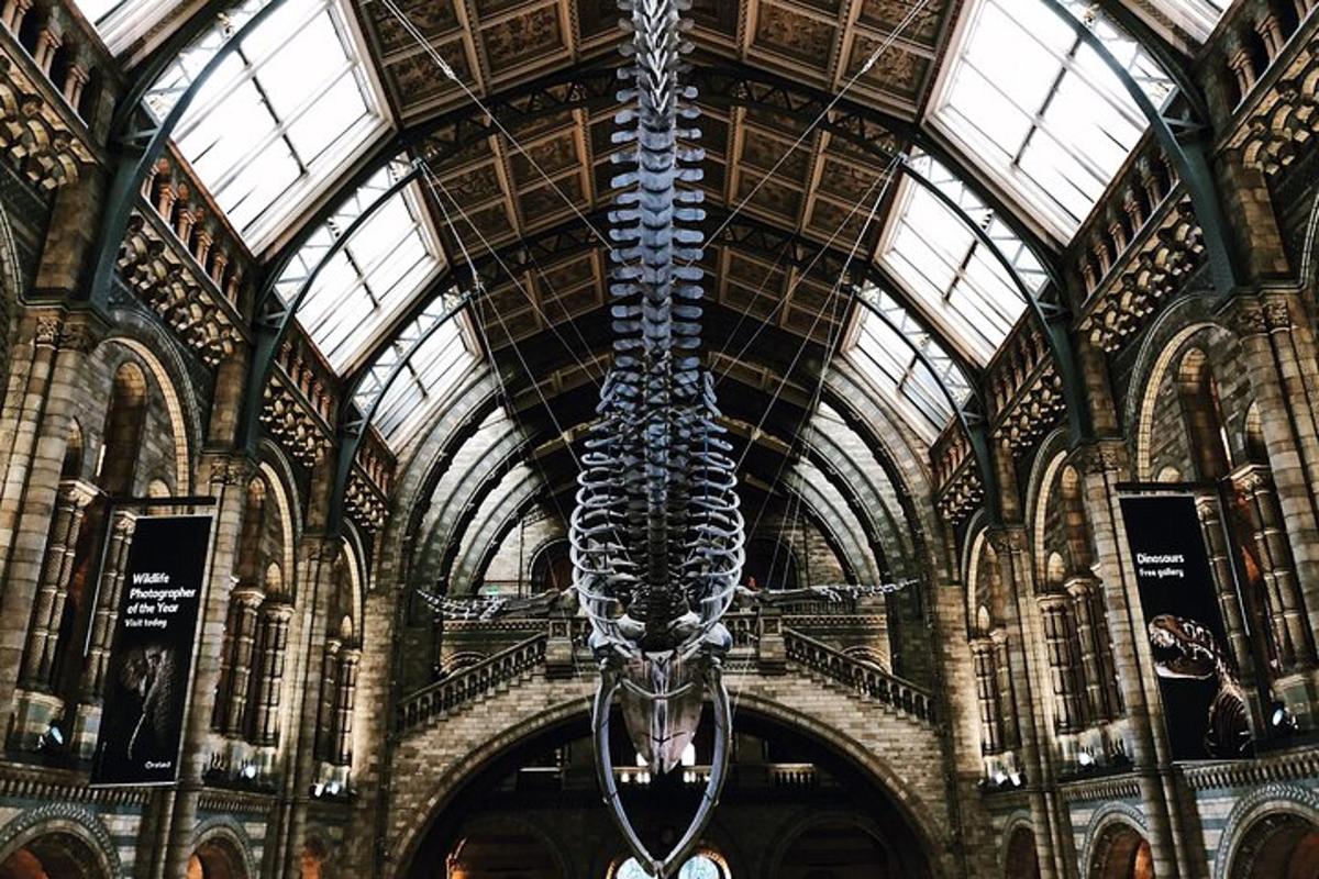 uno scheletro di dinosauro appeso al soffitto di un edificio
