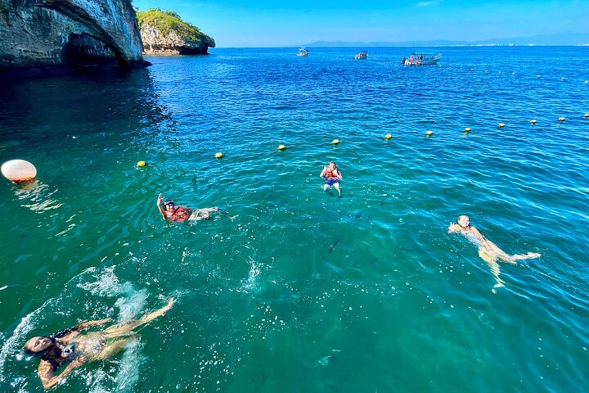 a group of people swimming in the water