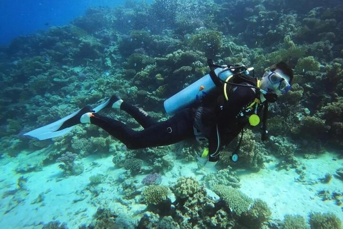 um homem em traje de mergulho em um recife de coral