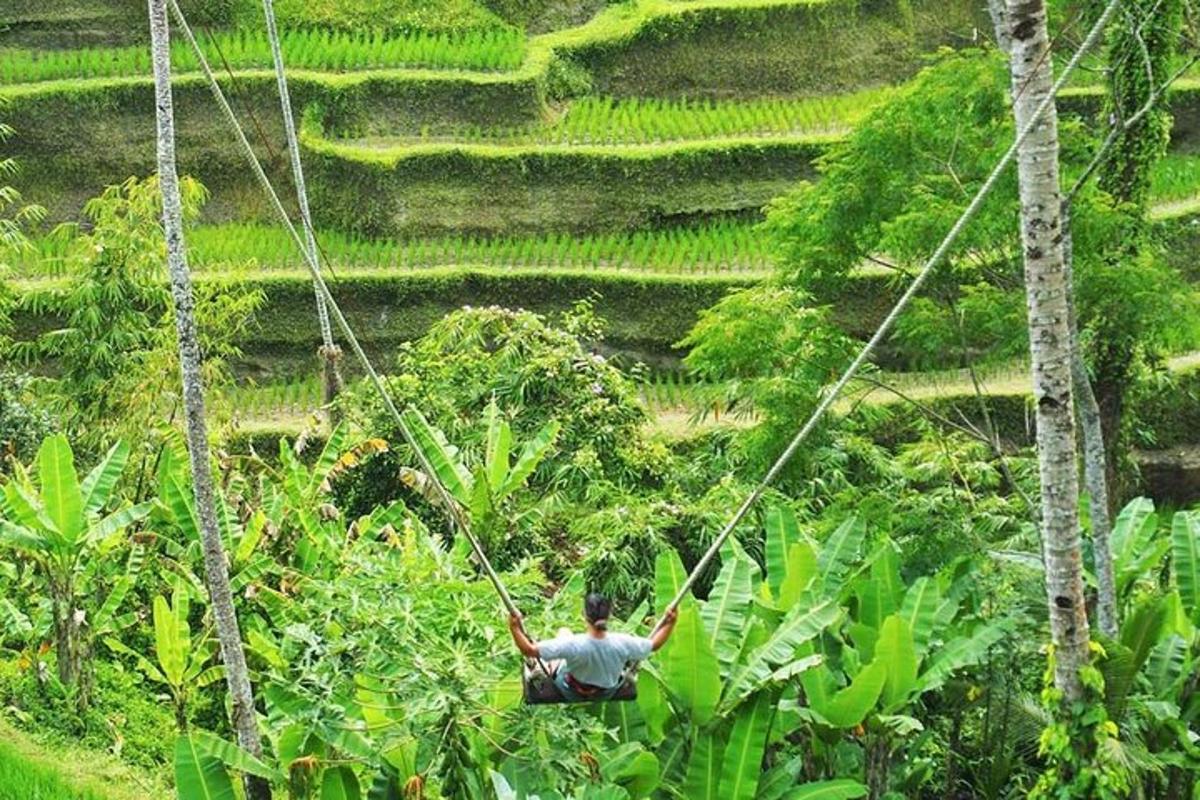 um homem em um balanço de corda na selva