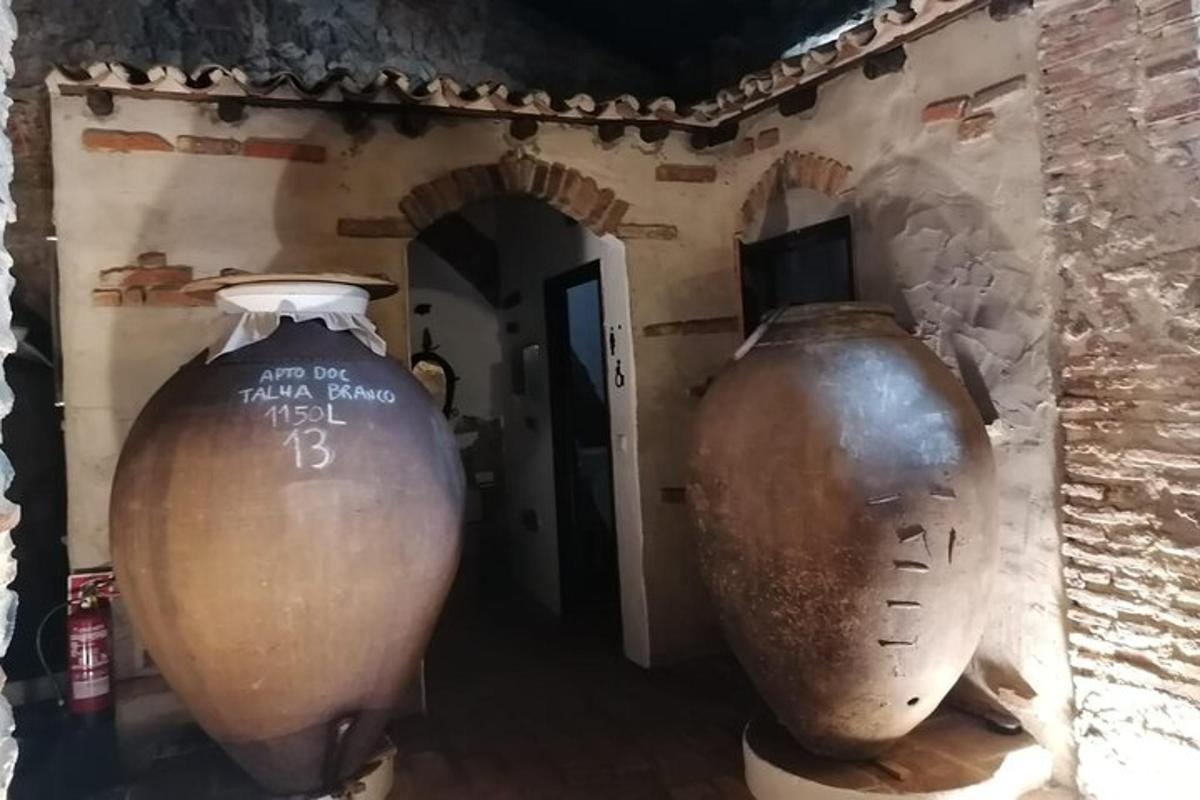 due grandi vasi sono posizionati in una stanza
