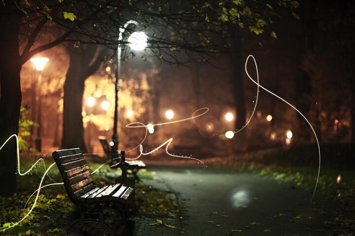 a park bench in a park at night with lights