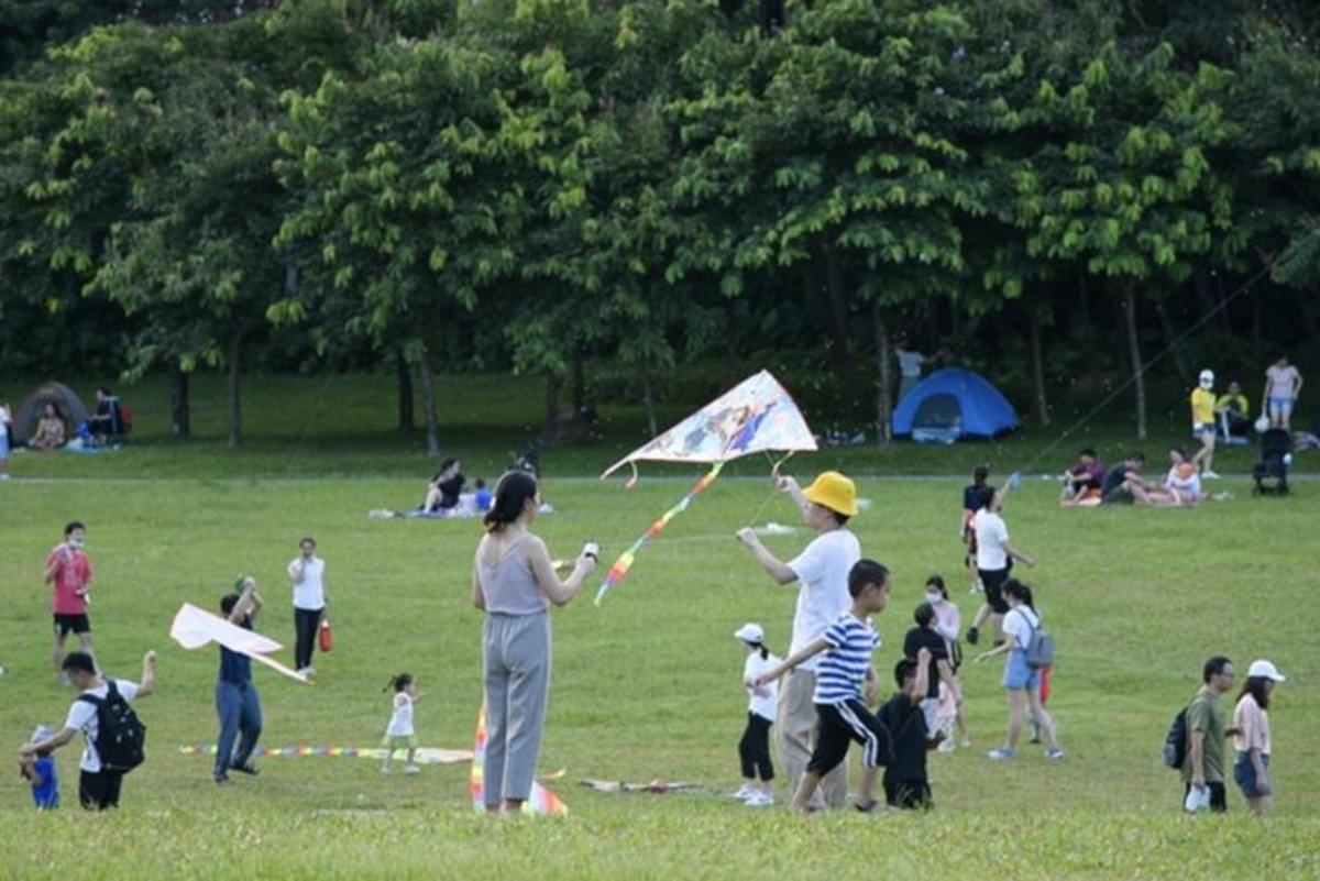 a group of people flying kites in a park