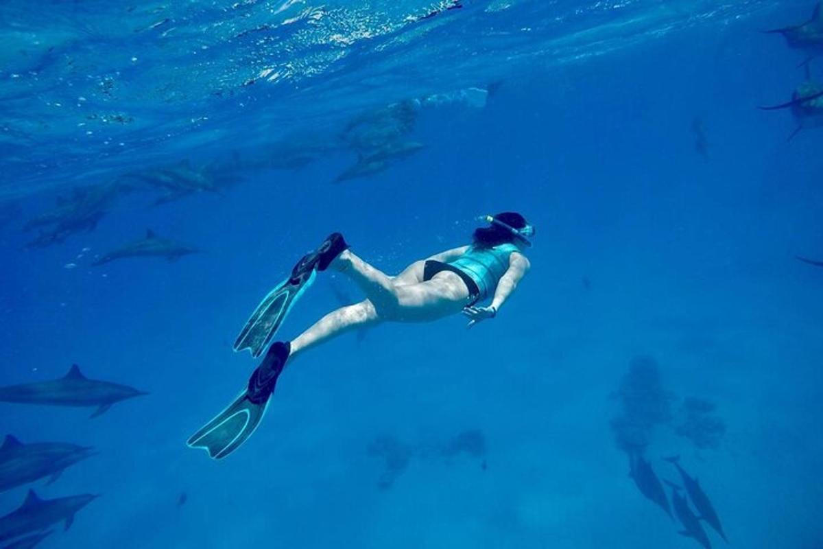 Una persona está nadando en el agua con un remo.