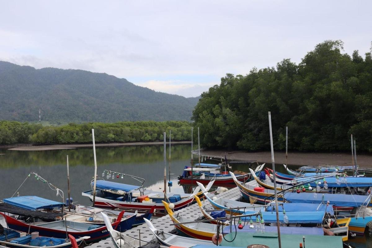 un munt de vaixells estan atracats a l'aigua