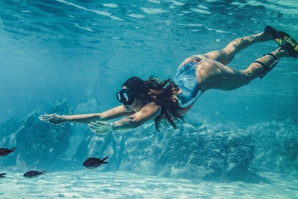 una persona nadando en el agua con peces