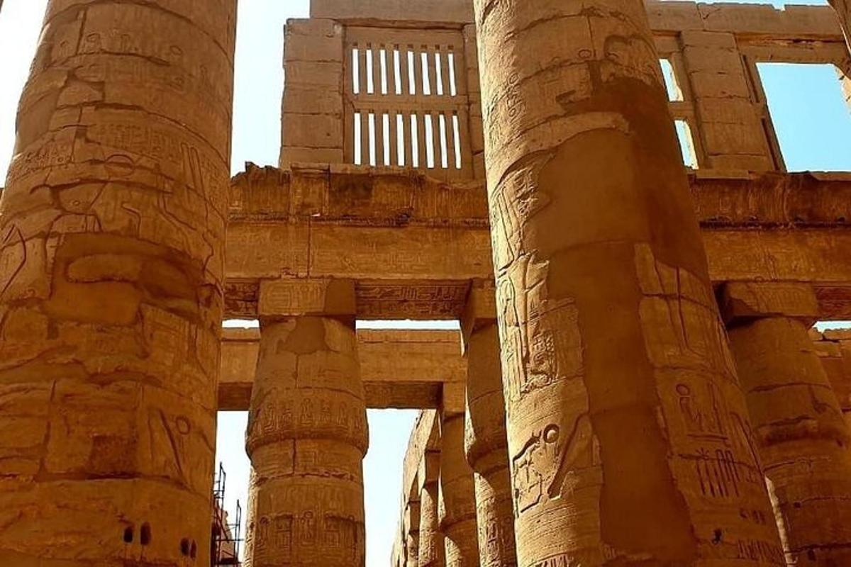un grupo de columnas altas en un edificio