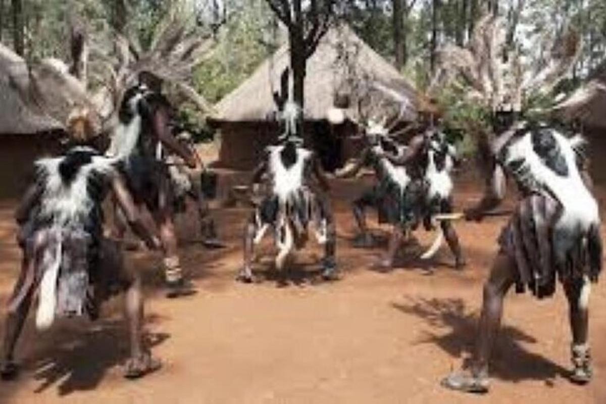 un grupo de personas bailando en la tierra