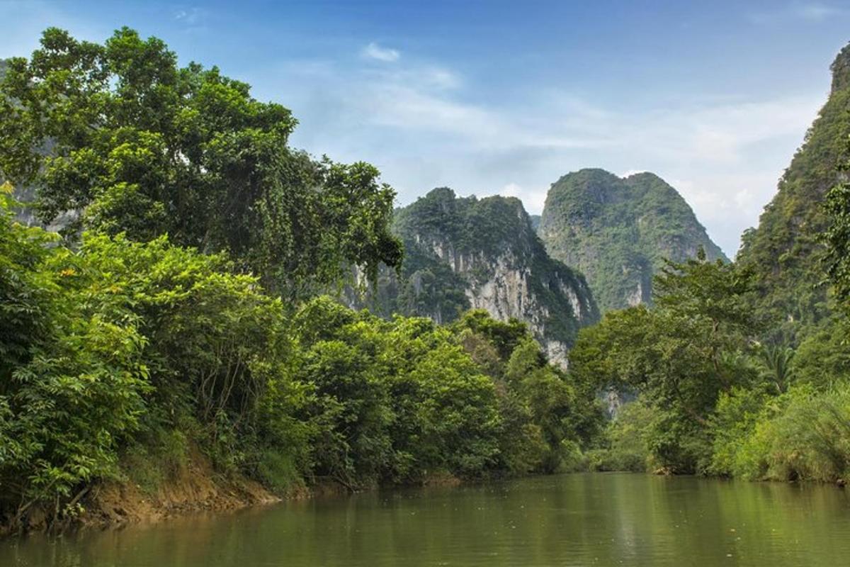 a river with trees and mountains in the background