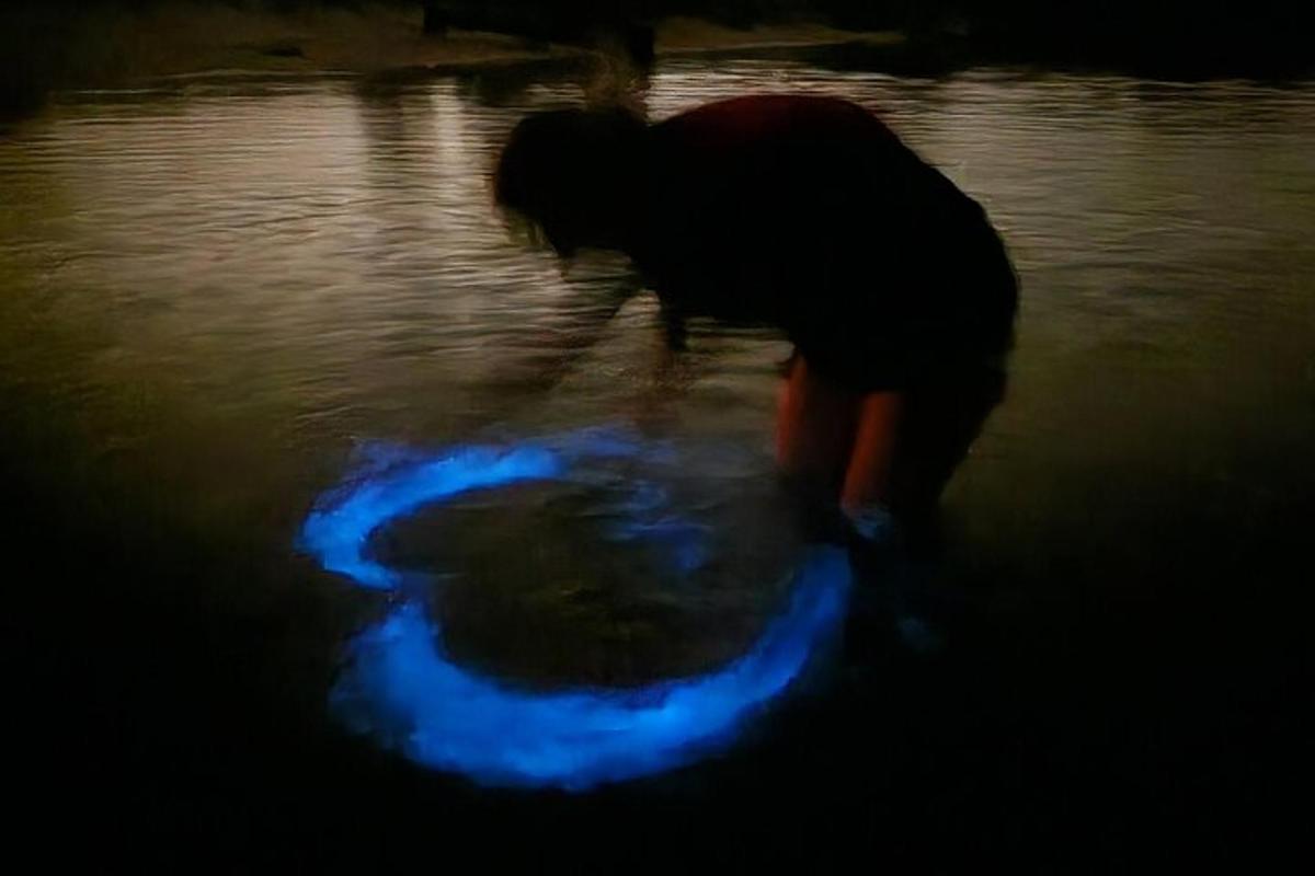 una persona jugando con un frisbee en el agua